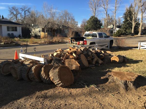 Artisans Tree Service LLC