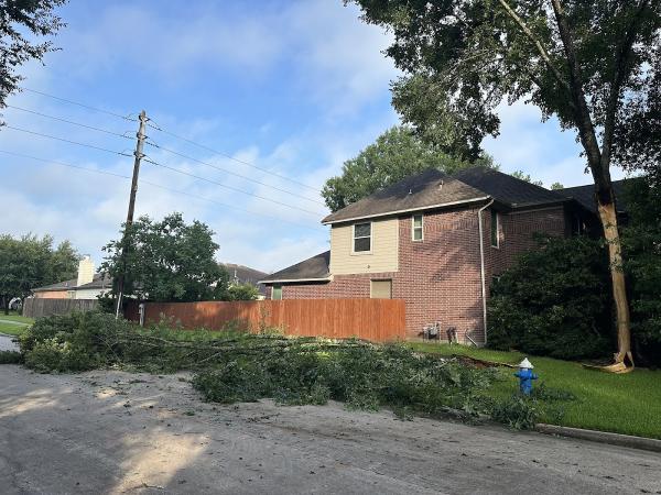 Texas Tree Cutters LLC