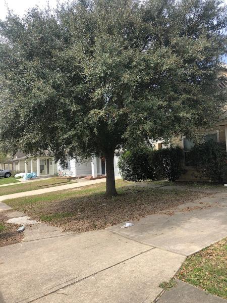 Texas Tree Cutters LLC
