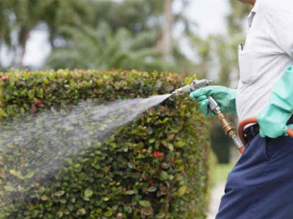 Bayou Cajun Termite and Pest Control