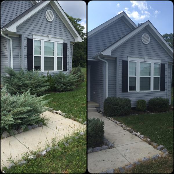 Elite Landscaping