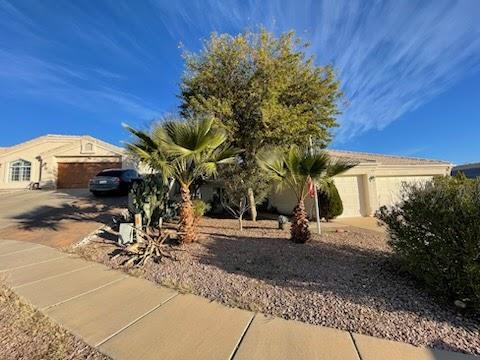 Tucson United Services Landscaping & Junk Removal