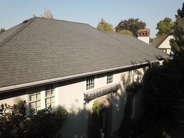 Roof Life