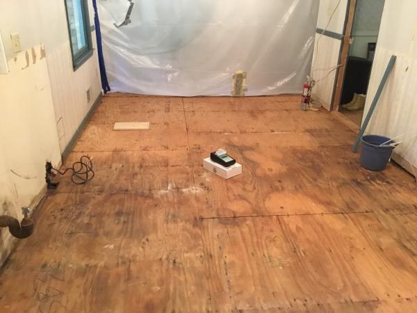 Safeair Certified Mold Inspection Inc.