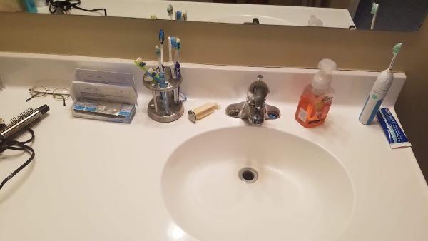Cleanasaurus