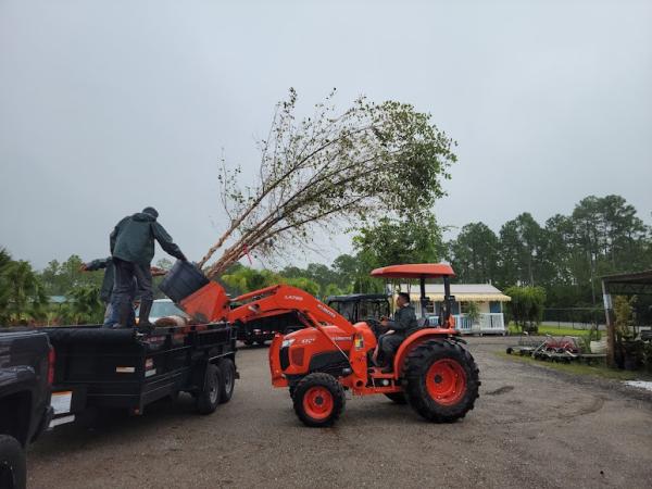 Progressive Landscapes LLC