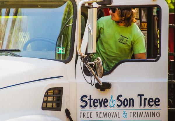 Steve and Son Tree