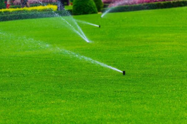 To the Drop Irrigation