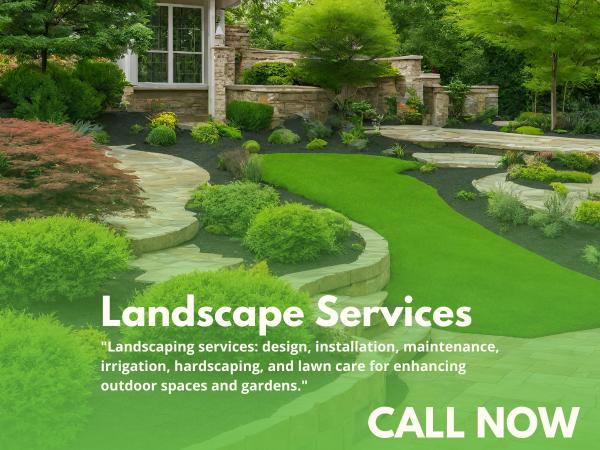 Polo Landscapes