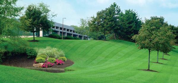 Perennial Contracting LLC