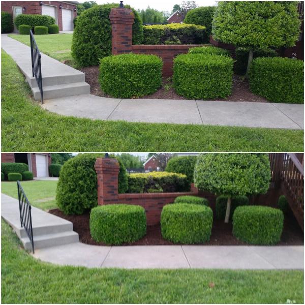 AP Lawn & Landscape