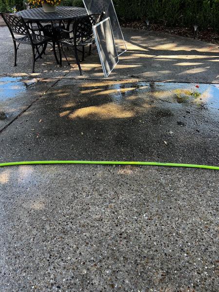 Dallas Windows and Gutter Cleaning
