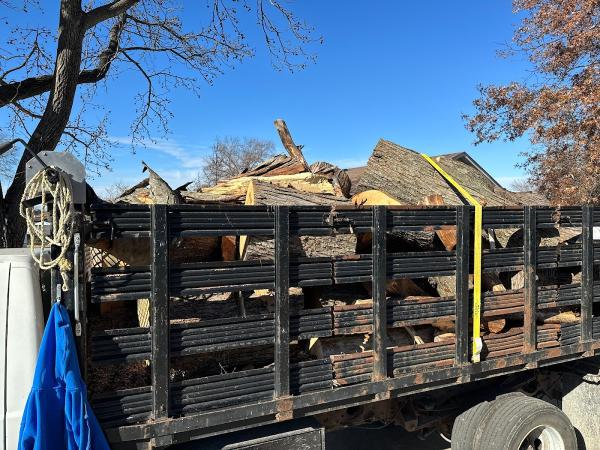 Midwest Tree Surgeons