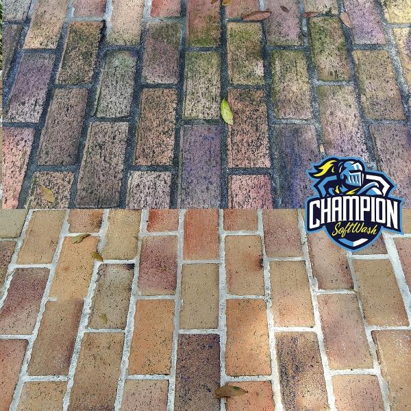 Champion Softwash