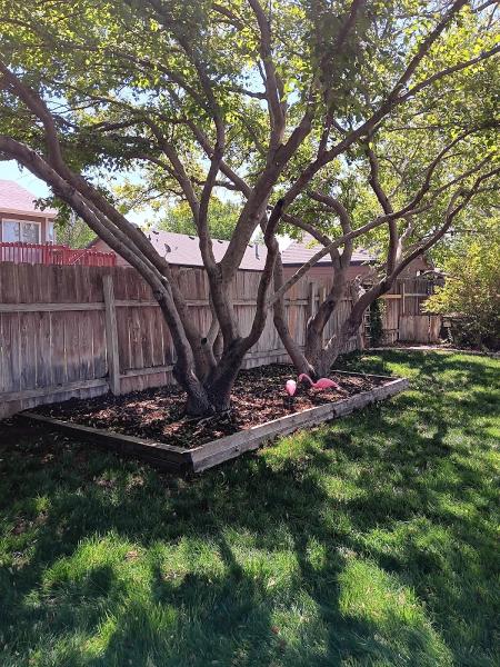 Crabtree's Tree Service