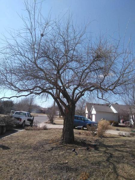 Crabtree's Tree Service