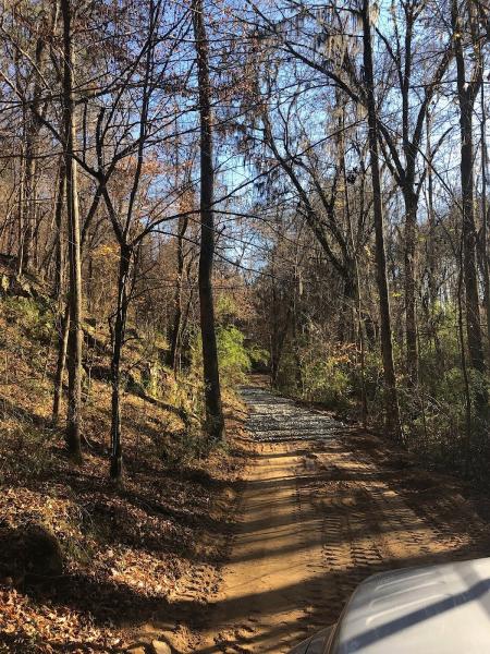 Southern Nature Landscaping