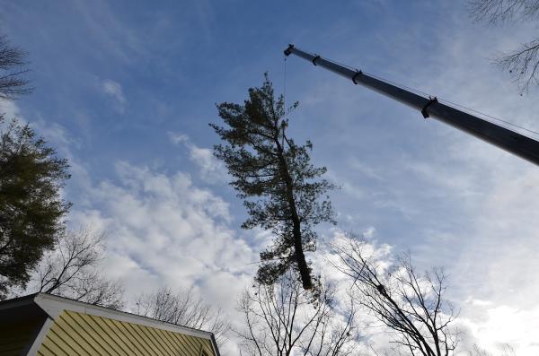 Hirko's Tree Service
