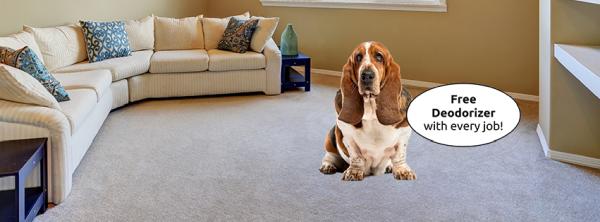 The Carpet Cleaners Inc