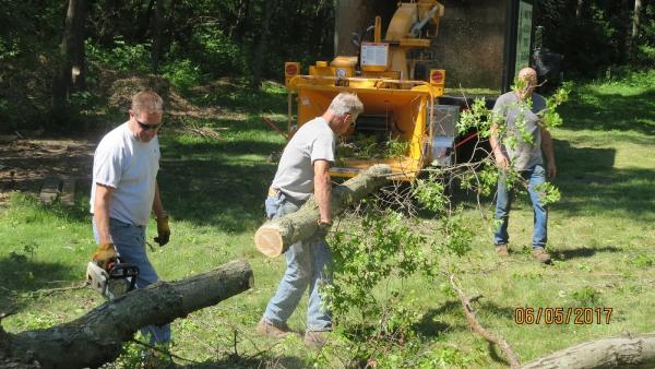 A Family Tree & Brush Services