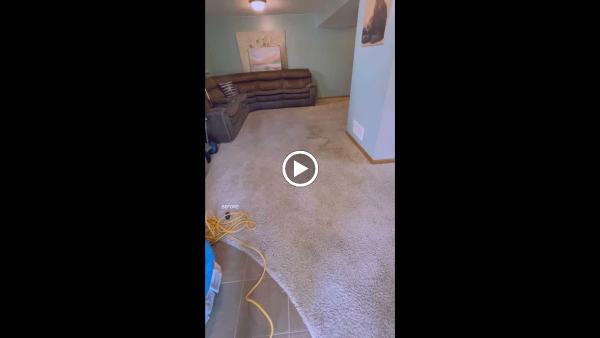 Compass Carpet Repair & Cleaning