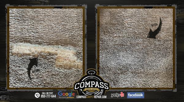 Compass Carpet Repair & Cleaning