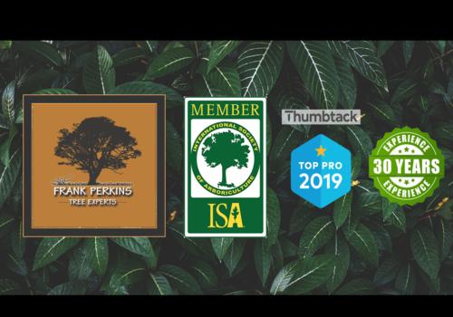 Frank Perkins Tree Experts
