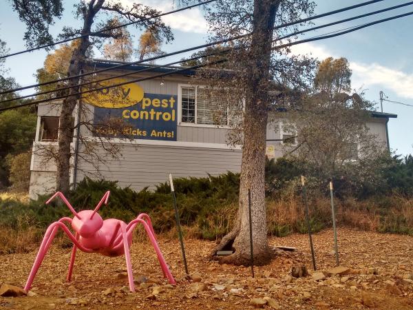 Koby Pest Control