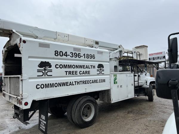 Commonwealth Tree Care