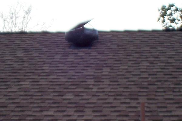 Perfection Roofing Company
