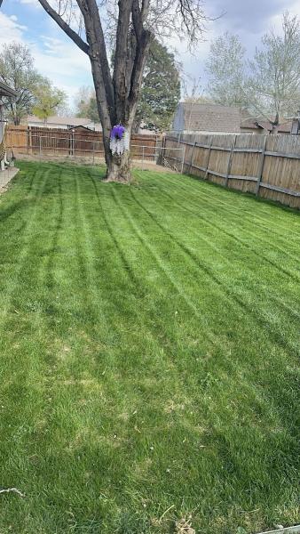 Hydroseeding and Sod By Taravella's Hydro Turf