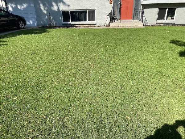 Hydroseeding and Sod By Taravella's Hydro Turf