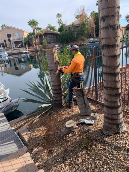 Macias Landscaping