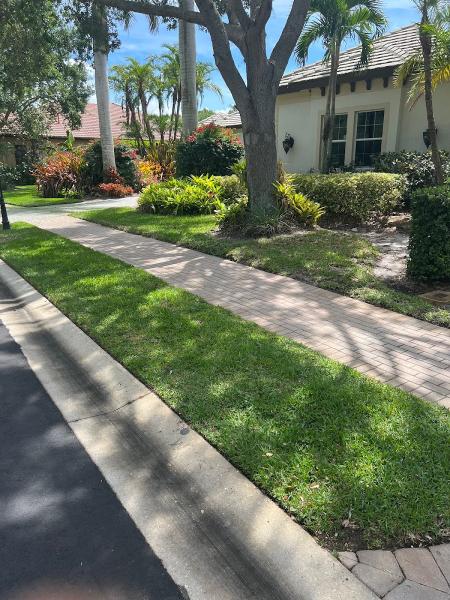 In Bloom Lawn & Landscape