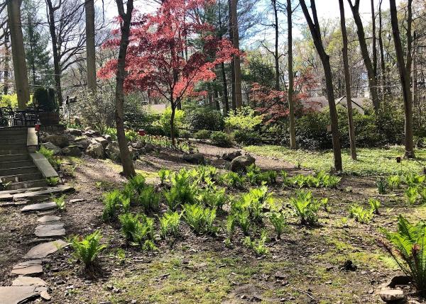 Robert O'Sullivan Landscape Contractors