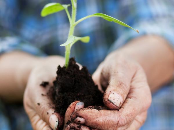 Robert O'Sullivan Landscape Contractors