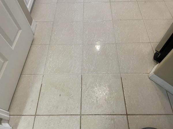 Dynamic Carpet Care