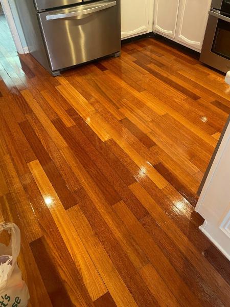 Dynamic Carpet Care