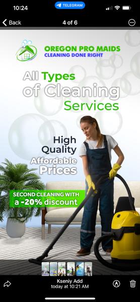 Oregon Pro Maids