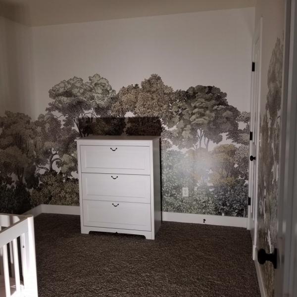 Blue Sky Painting & Carpentry