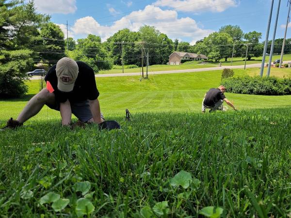 Ogden Mole Control