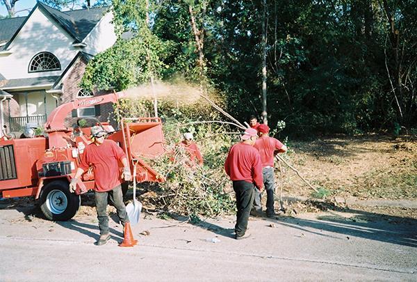 Ranch & Home Tree Service