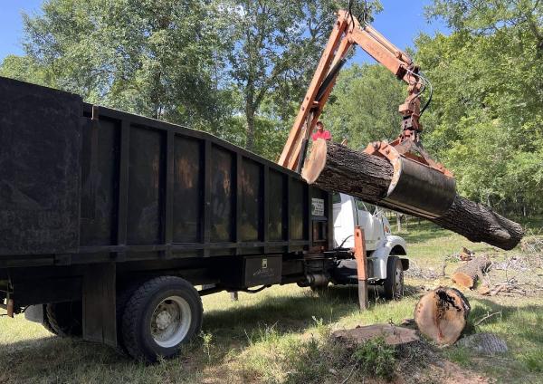 Ranch & Home Tree Service