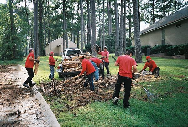Ranch & Home Tree Service