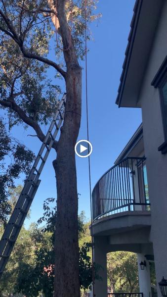 Newvista Tree Service