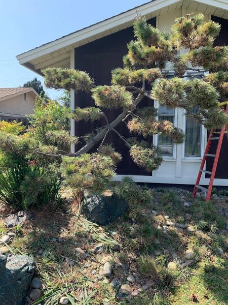 Newvista Tree Service