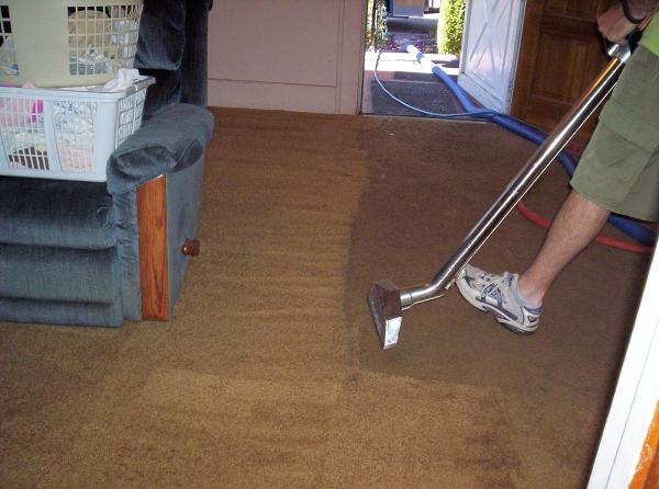 Carpet Cleaning