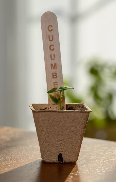 Push N'grow LLC