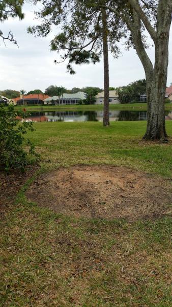 Lambar Landscape and Lawn Llc