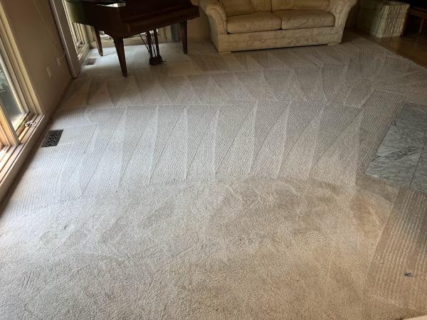 Combat Cleaning Services